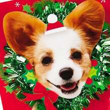 Hallmark Musical Christmas Card (Dogs, We Wish You A Merry Christmas) (599XSO9319) - Dogs, We Wish You a Merry Christmas - View 4