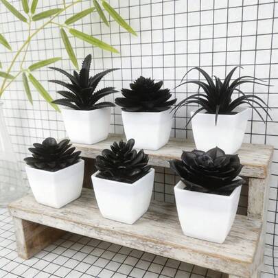 6盆/套 仿真迷你多肉植物，黑色盆栽，PE材质，仿真植物，桌面装饰，家居装饰，花园装饰，宿舍办公室装饰，万圣节装饰品，户外派对装饰，酒店餐厅客厅卧室厨房婚礼装饰，绿色装饰，全年适用