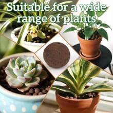 RAINFLOW Leca Clay Pebbles For Plants - 5mm-10mm Clay Balls For Plants Pebbles For Indoor Plant Hydroponic Growing Gardening Orchids Drainage Decoration Aquaponics Growing Terrarium 250g - Trắng - Xem 6