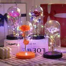Enchanted Rose With LED Light, Decorative Flower With Acrylic Dome, BCZ - Màu Hồng baby - Xem 4