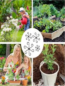 Plant Cages & Supports - Multicolor - View 5