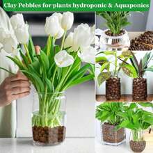 Sunwinx 2 LBS Natural Leca Clay Pebbles For Plants- 4-16mm Expanded Clay Leca Balls For Indoor Plants, Hydroton Clay Pebbles For Plants Hydroponic &Amp; Aquaponics Growing, Orchids, Drainage, Terrarium - ColorA - 查看 6