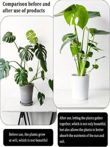 Plant Cages & Supports - Multicolor - View 7