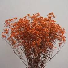 2000+ Hastes Buquê de Flores Secas Naturais de Bebê's Breath - Opções Multicoloridas, Buquê de Flores Reais Preservadas Branco Marfim de 16", Ramos de Encher Vaso, Para Decoração de Casamento, Centros de Mesa, Decoração Doméstica, Artesanato Floral DIY, Adereços de Fotografia, Suprimentos de Buquê DIY - laranja amarga - Visão 3