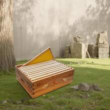 Kit de inicio de apicultura 10-Frame Langstroth Medium Super Box - Ventana de visualización de acrílico, madera de cedro recubierta con cera de abejas, juntas de cola de paloma, impermeable, fácil montaje, incluye marcos y fundaciones de cera - Marrón - Ver 4