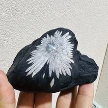 1 High-Quality Natural Chrysanthemum Stone Ornament Handmade With Natural Chrysanthemum Stone Pattern - Black and White - View 4