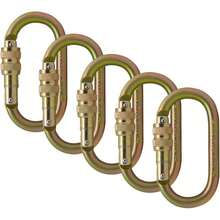 Mosquetón de Bloqueo de Tornillo 25KN Pack de 5 Acero Resistente Forma D Profesional para Escalada en Roca Rapel y Aventuras al Aire Libre - 1 - Ver 7