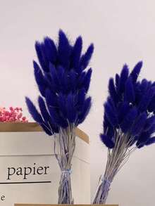 60/120/180/240 Peças Decoração de Flores Naturais Secas, Flores de Grama de Rabo de Coelho Naturais Secas, Grama Pampa Seca, Usada para Decoração Doméstica, Decoração de Casamento, Decoração de Festa, Artesanato DIY, Adereços de Fotografia, Decoração Temática, 17.7 Polegadas (Branco) - safira - Visão 4