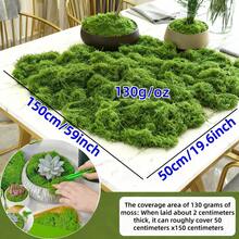130g Mousse artificielle grande | 149,86 x 49,78 cm, verdure réaliste pour paysage intérieur/extérieur, décoration de jardin, décor de table, projets, facile à tailler, idéal pour les paysages naturels, l'embellissement de la maison et de la pelouse, texture réaliste - Vert clair - Voir 5