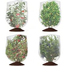 Heavy-Duty Garden Trellis Netting For Climbing Plants Outdoor And Indoor Use Grow Net Suitable For Beans Tomatoes Peas Pumpkin Flowers 6x15ft 1 Pack Plant Support Netting - 1 - View 14