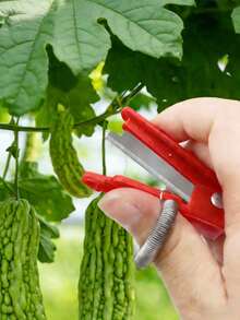 2pcs/1pc Multi-Functional Gardening Thumb Pruner, Sharp Blades, Trimming And Harvesting Tool, Fruit Cutting Knife, Finger Protection Ring, Collector, Ergonomic Handle, Non-Slip Grip, Durable Structure, Portable Finger Knife, Suitable For Tea Leaves, Herbs, Roses, Succulents - A - View 2