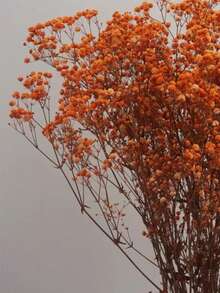 2000+ Hastes Buquê de Flores Secas Naturais de Bebê's Breath - Opções Multicoloridas, Buquê de Flores Reais Preservadas Branco Marfim de 16", Ramos de Encher Vaso, Para Decoração de Casamento, Centros de Mesa, Decoração Doméstica, Artesanato Floral DIY, Adereços de Fotografia, Suprimentos de Buquê DIY - laranja amarga - Visão 1