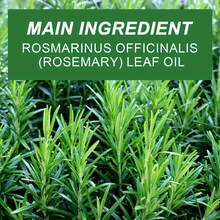 迷迭香护发油，滋养舒缓，抚平毛躁，令秀发闪亮动人。深层清洁保湿，全面呵护秀发。 - 正裝 - 查看 6