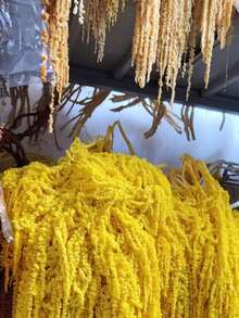 1/2/3/4/5 Hastes de Amaranto Penduradas, Buquê de Amaranto Pendurado, Decoração de Parede Pendurada, Decoração de Arco Floral, Arranjo de Flores Secas, Decoração de Casamento, Adereços de Fotografia - Amarelo limão - Visão 3