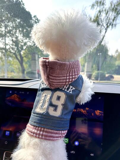 1件宠物衣服，欧美韩风，适合小型犬和幼犬，可爱舒适的外出装扮