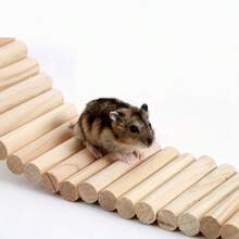 1件装宠物攀爬悬挂装置 - 木制仓鼠梯桥，适用于小型动物 - 天然木质设计 - 笼内环境丰富化和玩耍的理想之选 - 彩色 - 查看 13