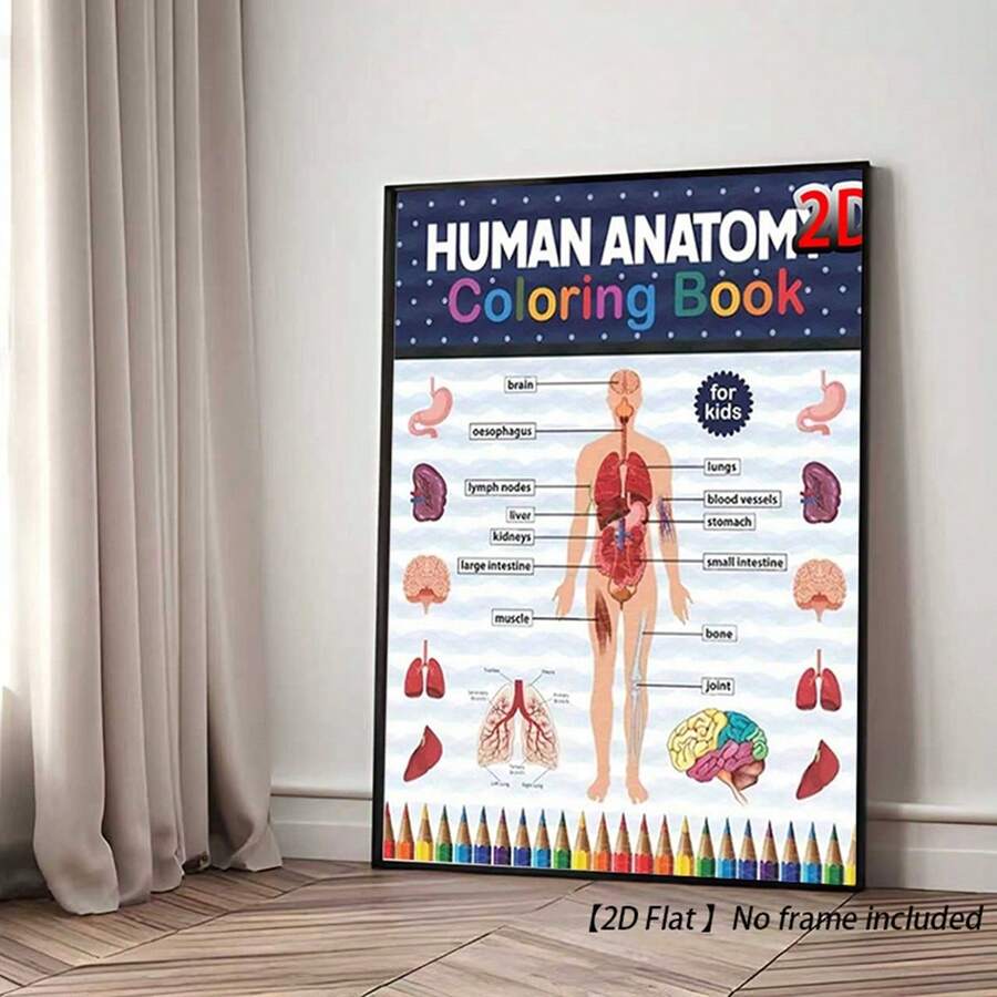 Frameless Canvas Poster - 2-Person Anatomy Coloring Book Style ...