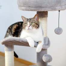 32.7" Cat Tree Tower For Indoor With Self Groomer Brush, Sisal Scratching Post, Dangling Ball For Small, Medium Cats, Gray - Gray - 查看 7