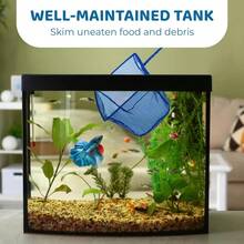 Extra Soft Nylon Fish Net With Handle For Aquarium Tank Maintenance,  For Delicate Fins, 5x4 Inches Net 11 Inches Long Handle - 1 - View 4