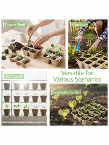 育苗盘 – 纤维素育苗盆，育苗盆，带植物标签的育苗套装（大号），育苗盆，种子发芽育苗盘套装 - 育苗盆 - 查看 4