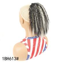 Synthetic Extensions - QLS868-1BH613 - View 13