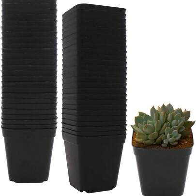 50pcs Mini Square Succulent Planter, Cactus Pot, Creative Planter, Ideal For Home, Office And Garden Decor!