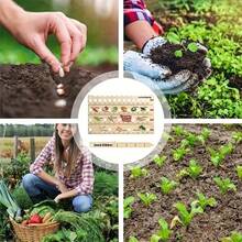 1PC Multifunctional Planting Ruler With Seeder And Planting Guide, Square Gardening Tool And Perforated Gardening Ruler, Vegetable Planting Board, Plant Gardening Supplies - 1 - View 3