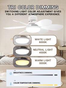 250mm (20.5 Inch) Large Ceiling Fan Light With Remote Control, 40W Lamp Holder, E26 Base Ceiling Fan, 3-Speed, 3000K-6500K Dimmable, With Lamp Holder Extension, Suitable For Bathroom, Kitchen And Small Rooms - one-size - View 4