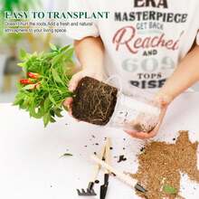 Clear Nursery Pots With Drainage Holes-36 Pack 3\/4\/5Inch Transparent Plastic Plant Pots For Seed Starting, High Visibility Root Growth Monitoring&Amp;50Plant Labels (Transparency-No Lid, 3\/4\/5in-36p) - ColorA - 查看 4