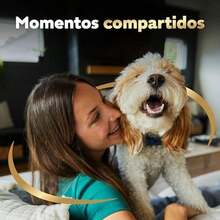 Cesar - Sobres de Alimento para Perro Adulto, Sabor Res y Vegetales, 75g c/u., Paquete de 24 Sobres - Cordero - Ver 6