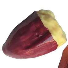 2026新款手工烤红薯硅胶挤压玩具 - 完美礼物、生日礼物、理想礼物、惊喜礼物、节日礼物、情侣礼物、万圣节礼物、圣诞礼物、游戏玩家礼物 - 彩色 - 查看 10