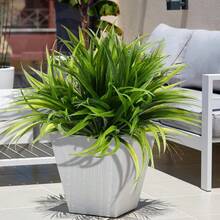 1 Stück künstliche grüne Graspflanze, geeignet für grüne Tischdekoration, Büro, Bauernhaus, Hochzeit, Küche Heimdekoration, Hochzeitsblumen Tischmitte, Frühlings- und Herbstdekoration, Wohnzimmer, Esszimmer, Schlafzimmer Vase Dekoration, Feiertags-Geburtstagsparty Accessoire, Outdoor Gartendekoration - Grün - Übersicht 5