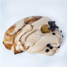 6盎司+1盎司浓稠泥浆，玩具食物模拟系列 - 珍珠奶茶，ASMR 泡泡泥，柔软减压玩具 - 彩色 - 查看 5