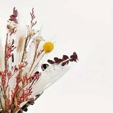 1 Buquê Arranjo Floral de - Capim-das-Pampas, Lavanda, Flores Coloridas de /Verão, Decoração Versátil para Casa, Boho, Fazenda, Jardim Moderno, Buquê de Plantas Naturais para Vasos, Casamentos, Aniversários, Festas, Adereços de Fotografia, DIY - Vermelho e branco modernos - Visão 1