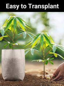 100pcs Non-Woven Thickened Plant Nursery Bags, Improve Seedling Survival Rate, Suitable For Home Garden, Greenhouse, Vegetables, Flowers, Potatoes, Tomatoes And Other Plants, Seed Germination Bags. - White - View 7