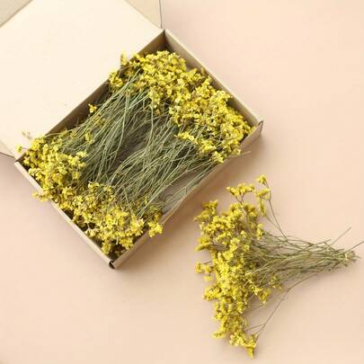 20-52pcs White, Pink, Yellow Crystal Grass Mini Dried Flowers, Cute Preserved Flowers For Vase, Wedding, Home, Office, Party, Garden, Card Making, Decoration, Suitable For Christmas, Thanksgiving, Plastic Flowers For Indoor/Outdoor Decor, Natural Looking, Easy To Arrange, Essential For Holidays