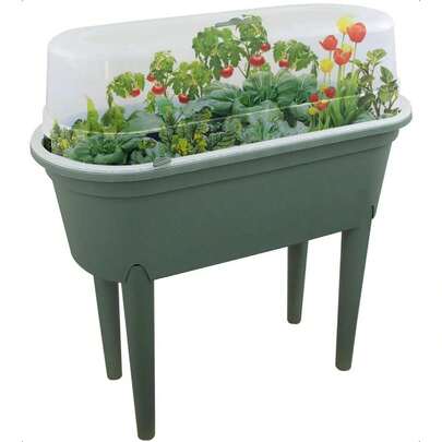 Mini Greenhouse Propagator Legs Outdoor Raised Planter Garden Flower Herb Green