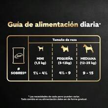 Cesar - Sobres de Alimento para Perro Adulto, Sabor Res y Vegetales, 75g c/u., Paquete de 24 Sobres - Carne - Ver 5
