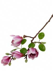 1pc Artificial Nala Small Magnolia Wedding Decoration Materials, Home Decoration DIY Artificial Is Very Suitable For Families, Weddings And Parties, Indoor And Outdoor Home Decoration - Rose - View 4