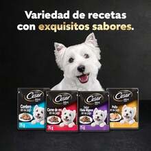Cesar - Sobres de Alimento para Perro Adulto, Sabor Res y Vegetales, 75g c/u., Paquete de 24 Sobres - Cordero - Ver 7