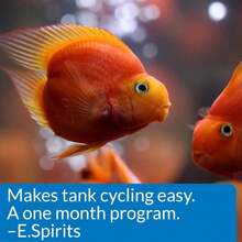 API AQUARIUM START UP PACK Water Conditioner 125-Ounce Bottle 2-Pack - 白色 - 查看 5