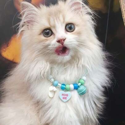 防丢铃铛吊坠饰品，蕾丝刺绣猫项圈，宠物项链