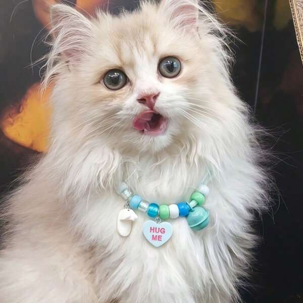 防丢铃铛吊坠饰品，蕾丝刺绣猫项圈，宠物项链