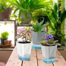 Samhe 3 Pack Self Watering Planter Pots, 4.9 Inch African Violet Pots For Indoor Outdoor Windowsill Gardens, Plant Pot With Wick Rope And Reservoir - ColorA - 查看 6