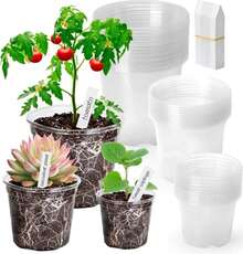 Clear Nursery Pots With Drainage Holes-36 Pack 3\/4\/5Inch Transparent Plastic Plant Pots For Seed Starting, High Visibility Root Growth Monitoring&Amp;50Plant Labels (Transparency-No Lid, 3\/4\/5in-36p) - ColorA - 查看 1