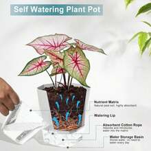 Samhe 3 Pack Self Watering Planter Pots, 4.9 Inch African Violet Pots For Indoor Outdoor Windowsill Gardens, Plant Pot With Wick Rope And Reservoir - ColorA - 查看 4