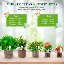 Clear Nursery Pots With Drainage Holes-36 Pack 3\/4\/5Inch Transparent Plastic Plant Pots For Seed Starting, High Visibility Root Growth Monitoring&Amp;50Plant Labels (Transparency-No Lid, 3\/4\/5in-36p) - ColorA - 查看 6