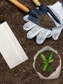 100pcs Non-Woven Thickened Plant Nursery Bags, Improve Seedling Survival Rate, Suitable For Home Garden, Greenhouse, Vegetables, Flowers, Potatoes, Tomatoes And Other Plants, Seed Germination Bags. - White - View 8