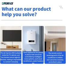 Receptor inalámbrico para pantalla sin enredos, regalo de Pascua de primavera - WLBIRE - Ver 3