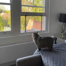 Window Fly Screen Adjustable Tight Seal Insects Bugs Aluminium Fiberglass Mesh - Star - View 1